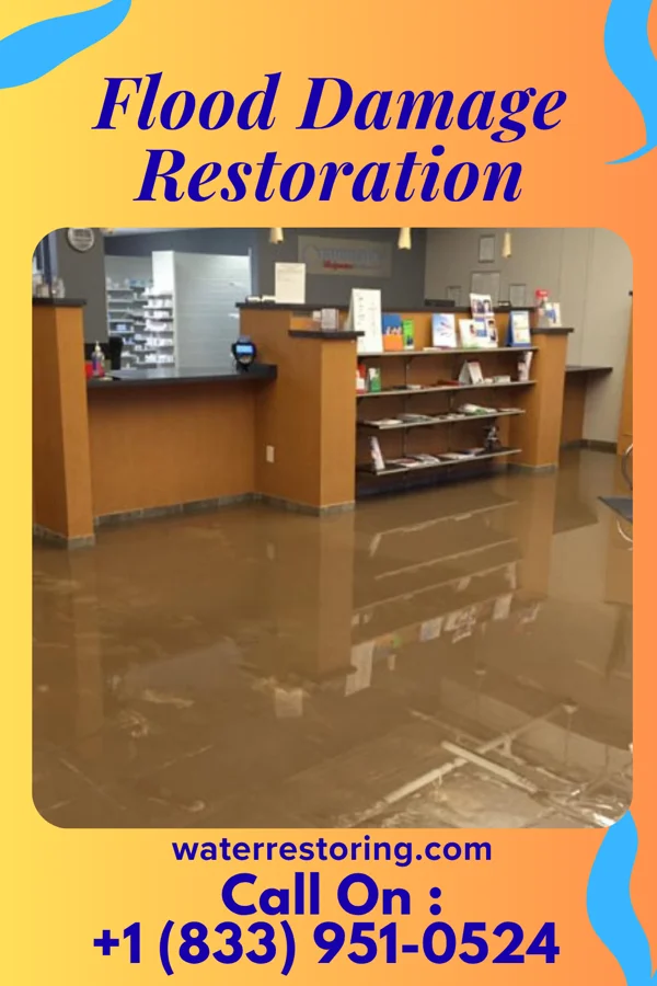 Flood Damage Restoration in Sherwood, ND