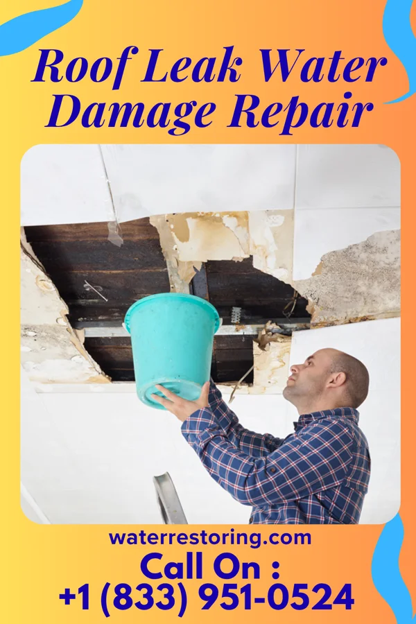 Roof Leak Water Damage Repair in Sherwood, ND